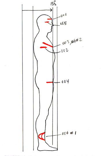 T48 Study